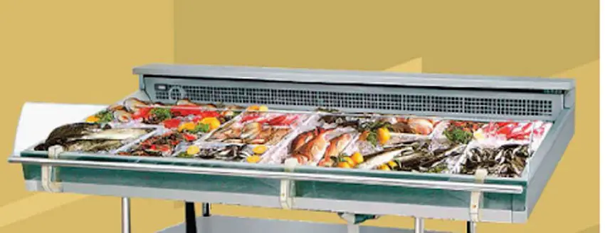 Tủ mát trưng bày hải sản Berjaya FDC4