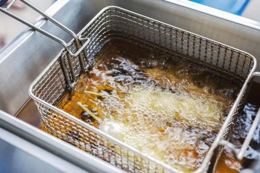 Bếp chiên nhúng đơn Berjaya DF23S1B-17