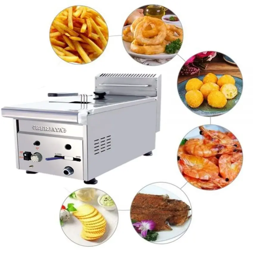 Bếp chiên nhúng điện đôi Berjaya FSSDF 12D