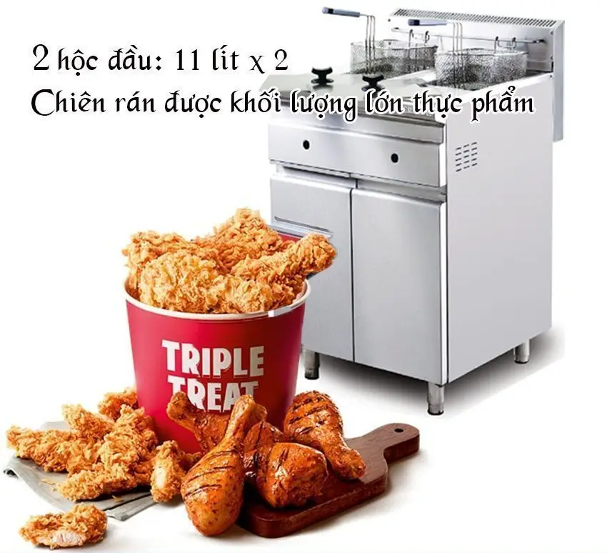 Bếp chiên nhúng đôi Berjaya FSGDF11D