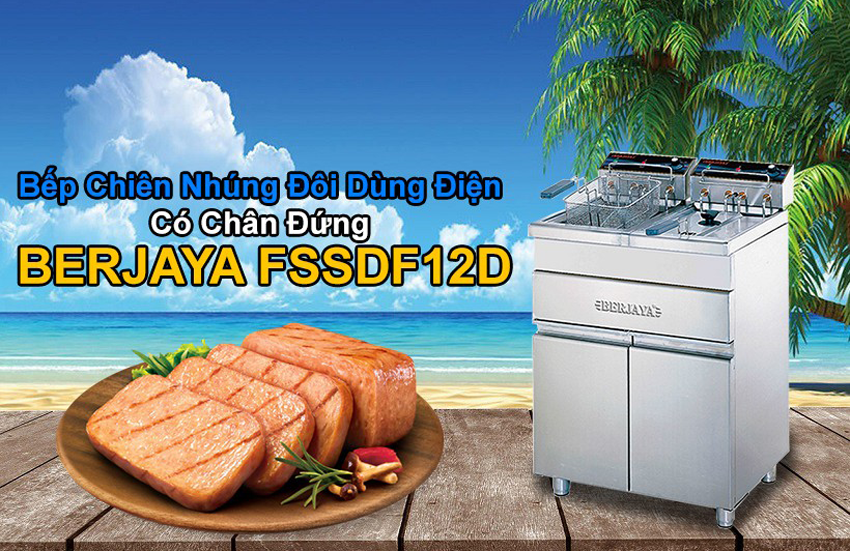 Bếp chiên nhúng điện đôi Berjaya FSSDF 12D